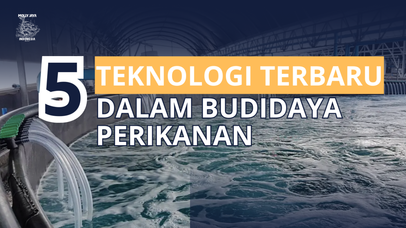 5 Teknologi terbaru dalam budidaya perikanan