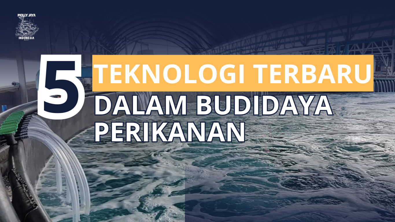 5 Teknologi terbaru dalam budidaya perikanan