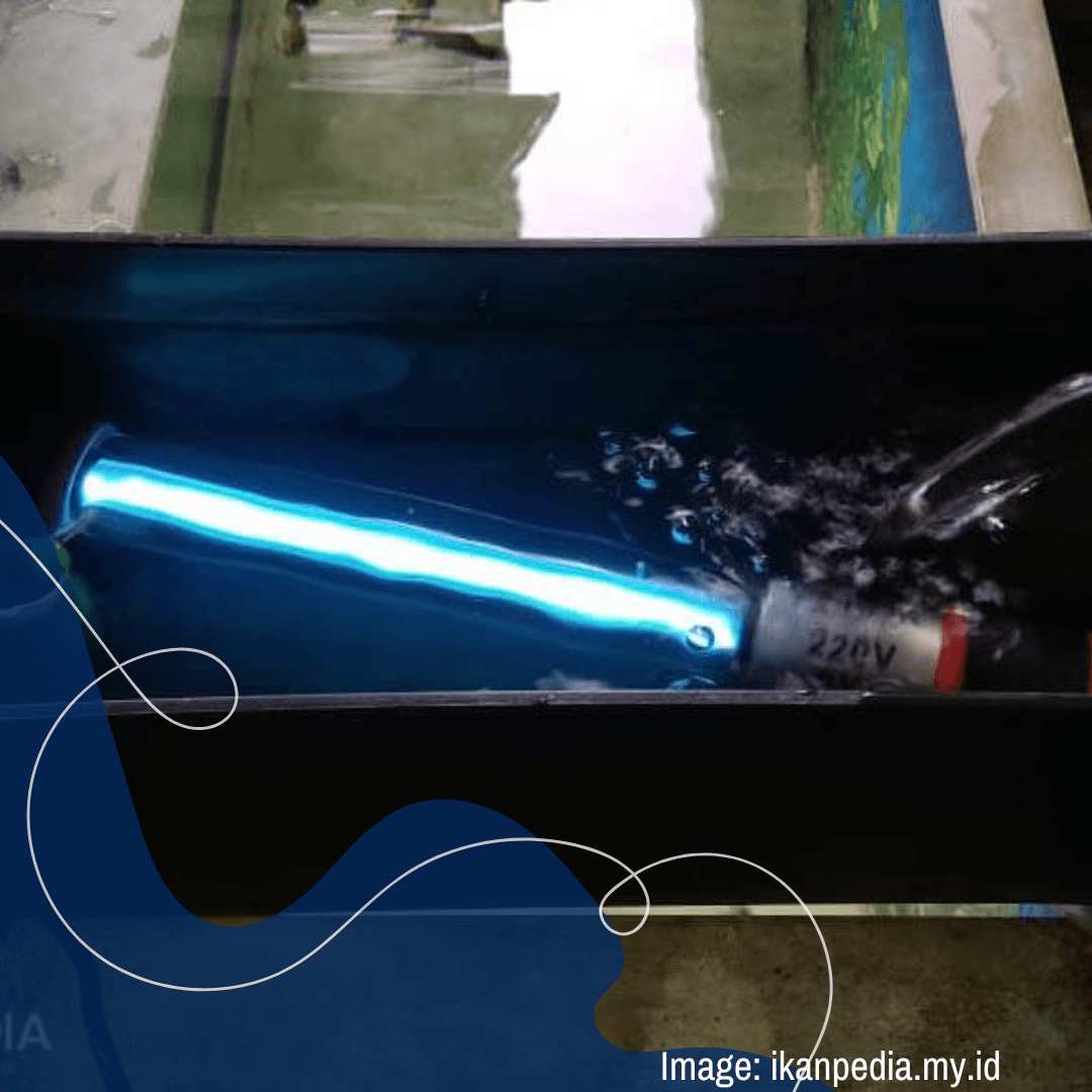 sistem filter akuarium Filtrasi UV