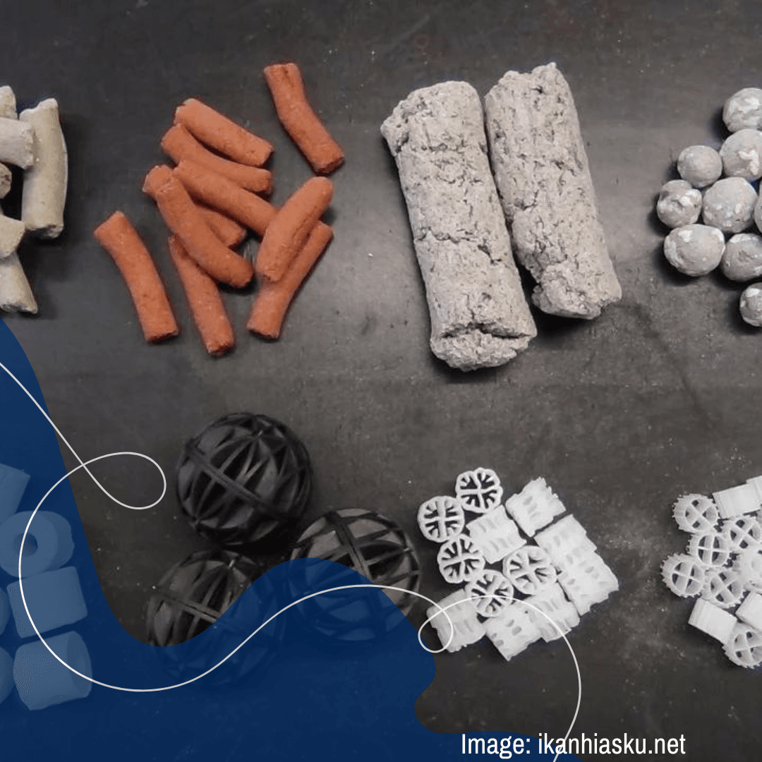 sistem filter akuarium Filtrasi biologis