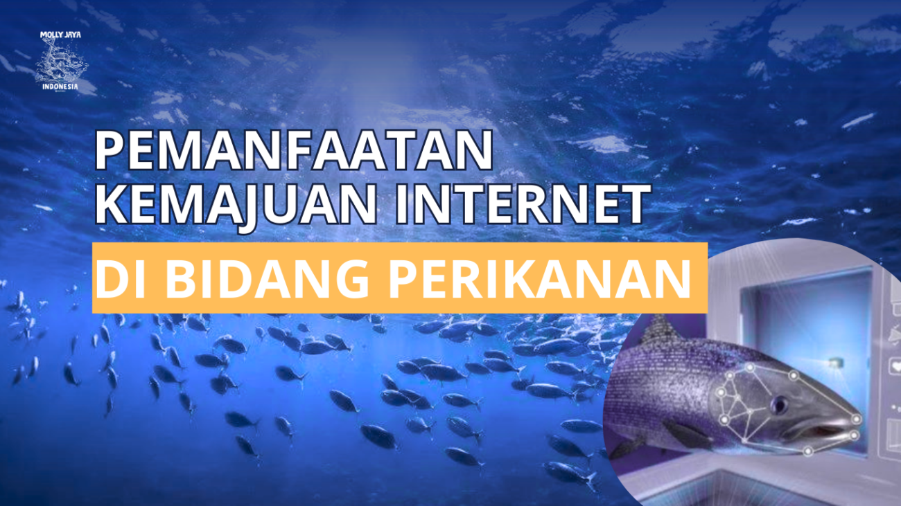 Pemanfaatan Kemajuan Internet di Bidang Perikanan mollyjaya.id