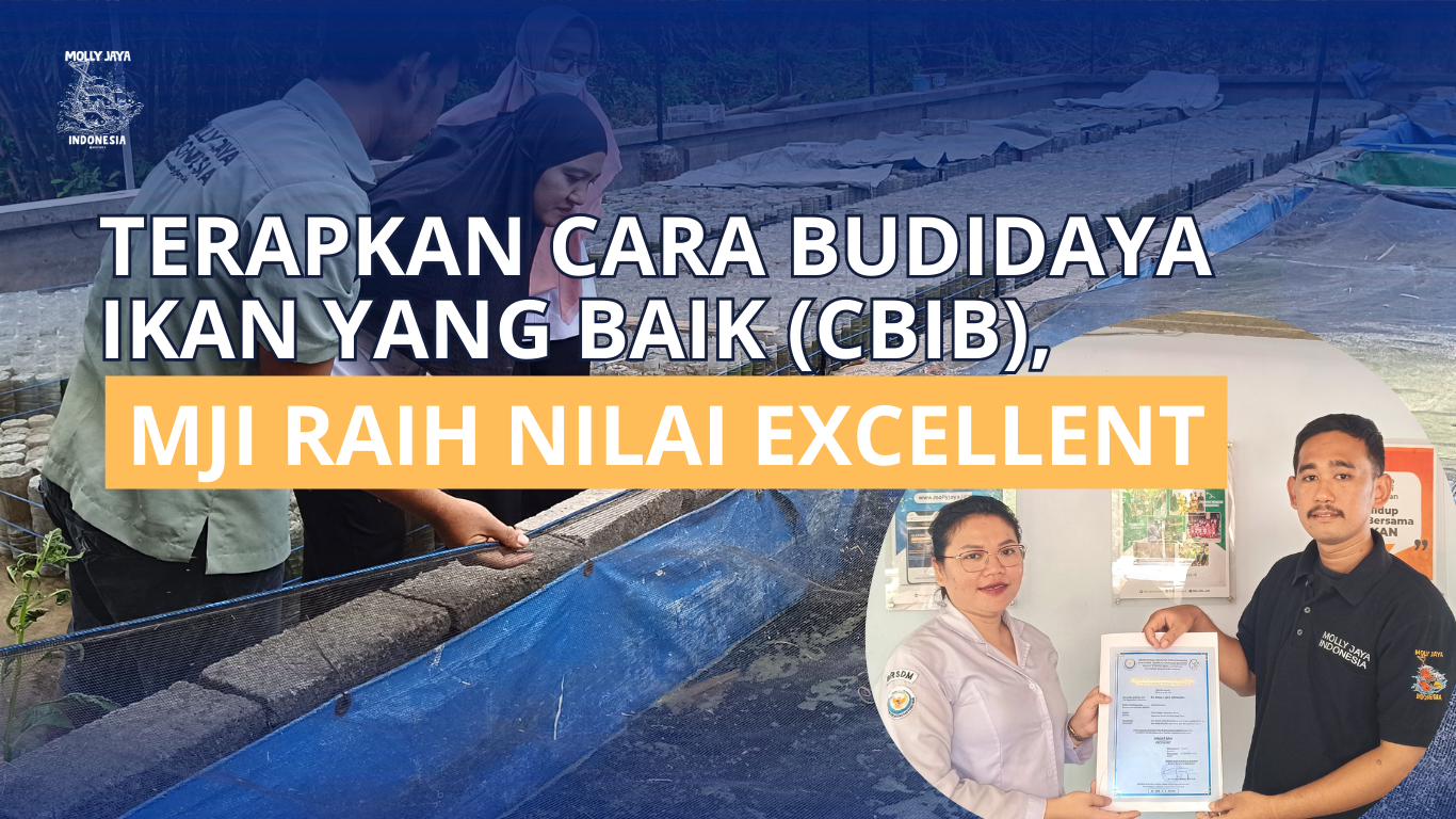 terapkan Cara Budidaya Ikan yang Baik (CBIB), MJI raih nilai excellent