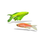 Paket Bundling - Set Akuarium Glowing Fish - Gambar 9