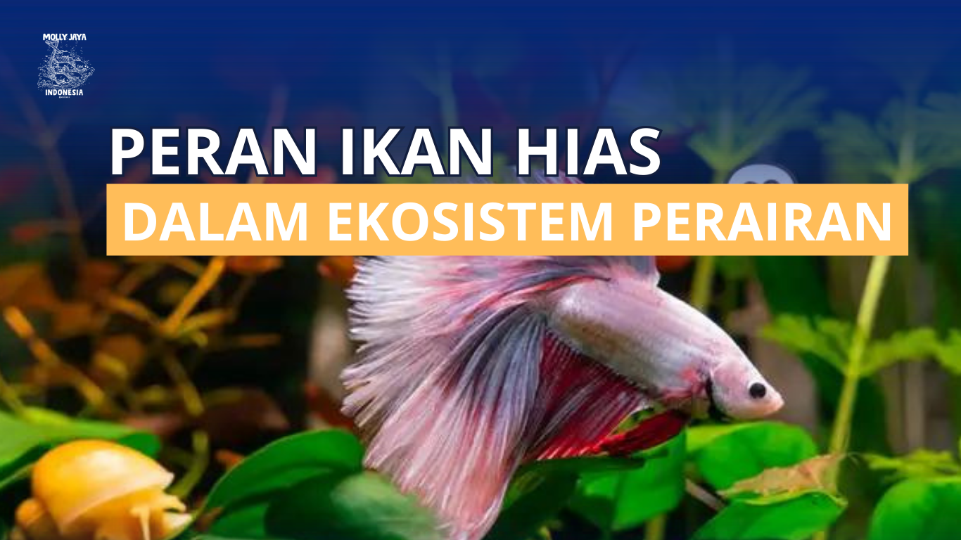 Peran Ikan Hias Dalam Ekosistem Perairan