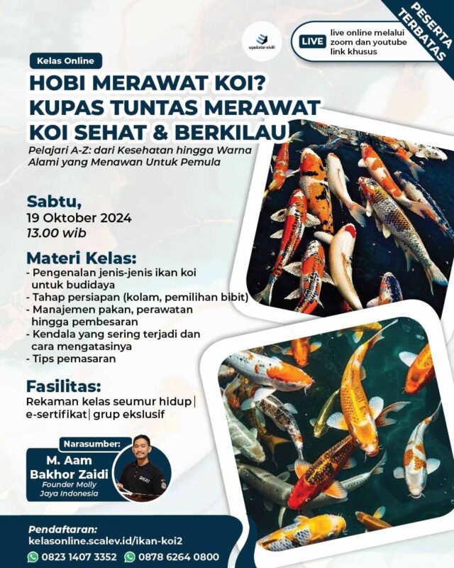 Workshop Merawat Ikan Koi