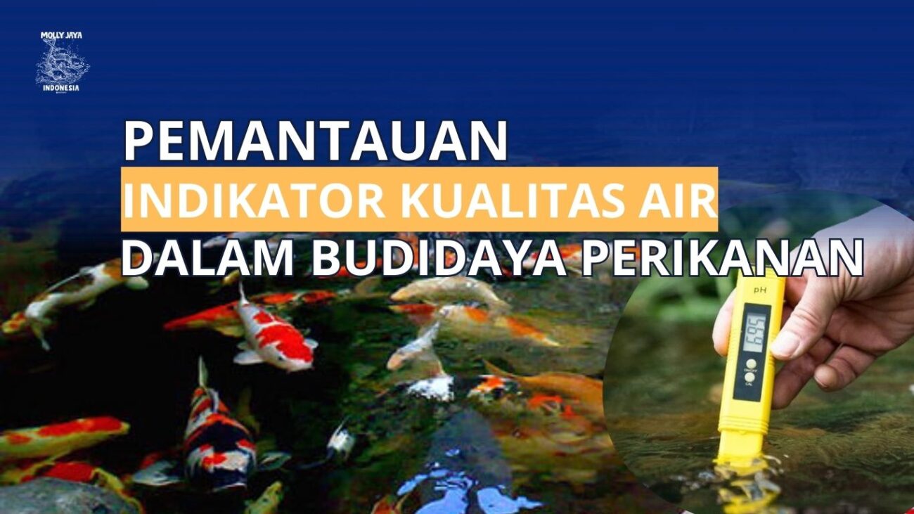 Pemantauan Indikator Kualitas Air dalam Budidaya Perikanan