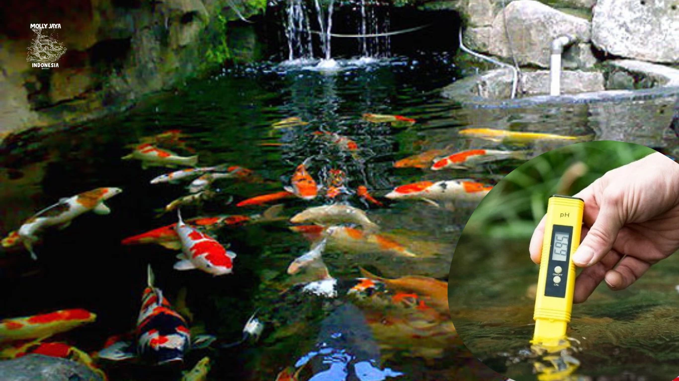 Pemantauan Indikator Kualitas Air dalam Budidaya Perikanan