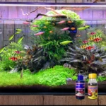 Paket Bundling - Set Akuarium Glowing Fish