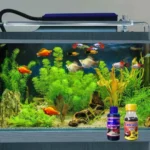 Paket Bundling - Set Akuarium Ikan Hias Lengkap