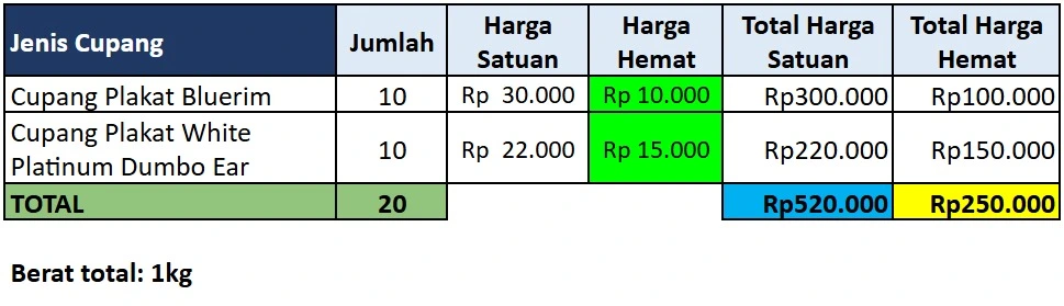 Paket Bundling Super Light