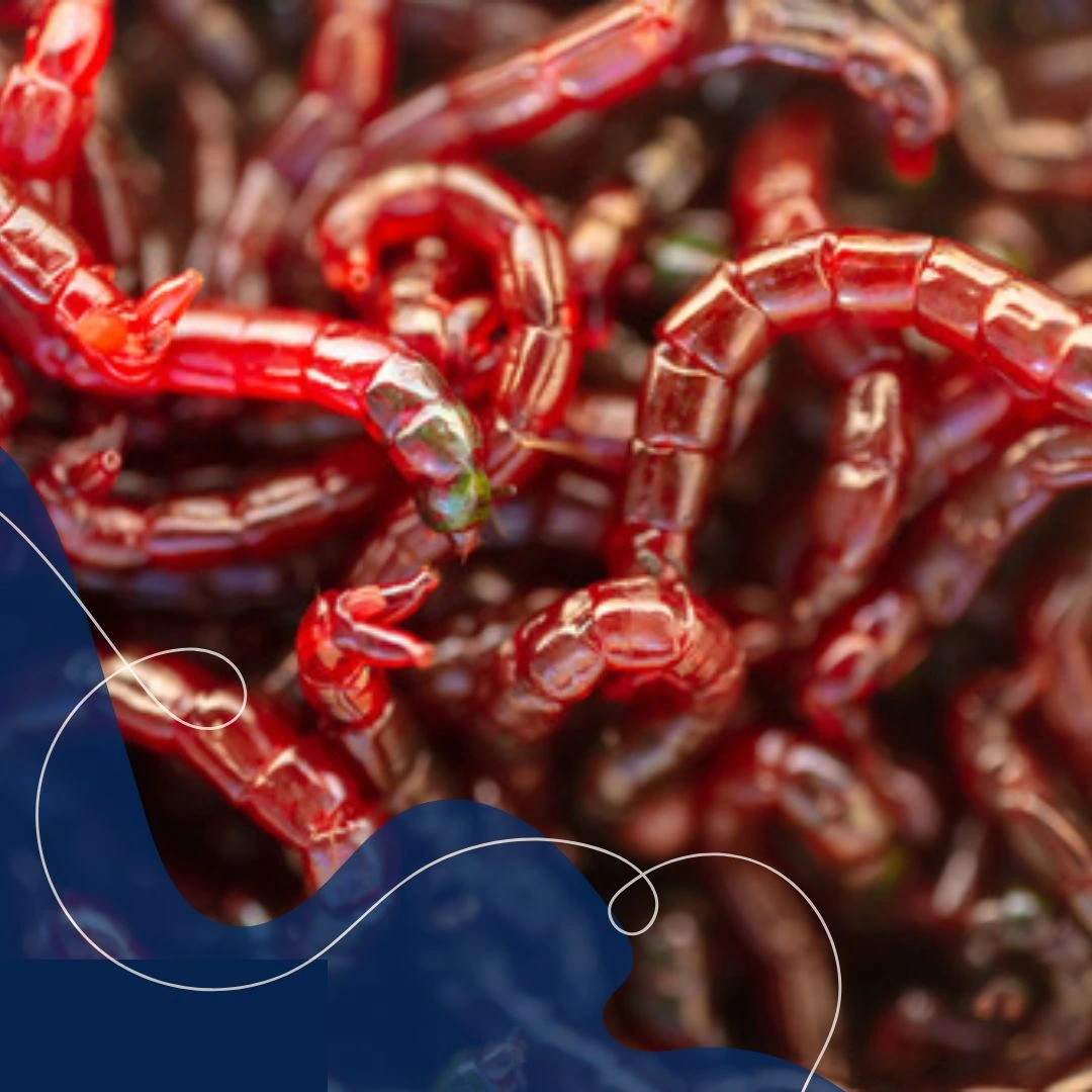 Mudah dicerna (1) Mudah dicerna (1)