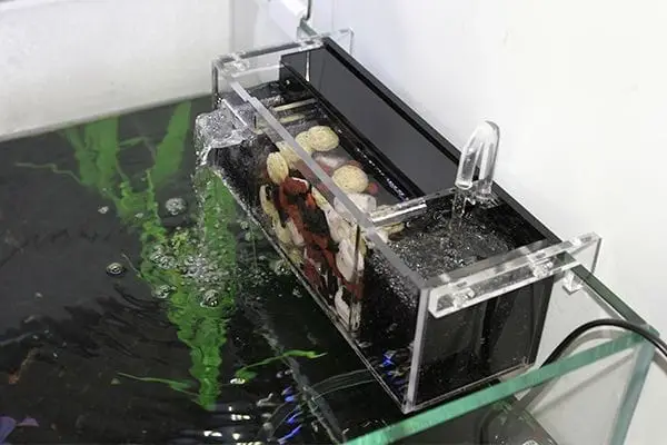 Gambar filter akuarium yang bagus untuk filter ikan