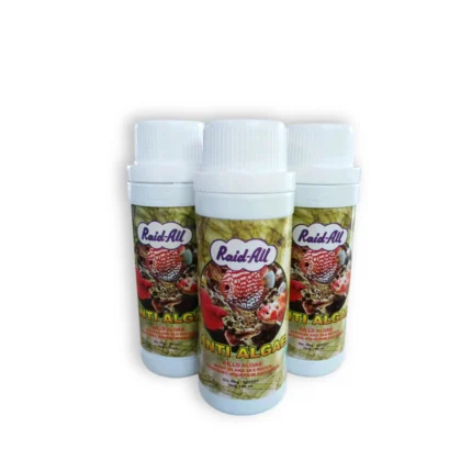 Obat anti algae Raid All
