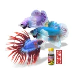 Paket Bundling Exotica Jumbo