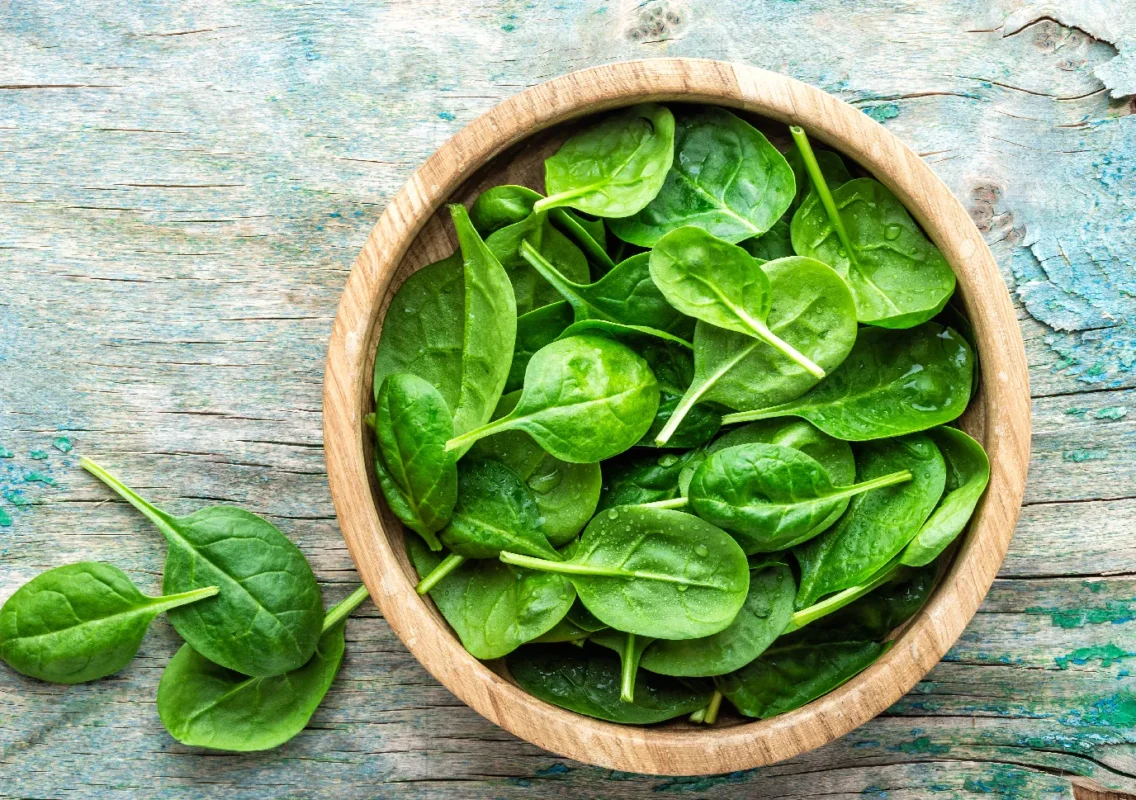 Ilustrasi daun bayam berada di mangkuk yang cocok untuk pakan ikan koi agar cepat besar