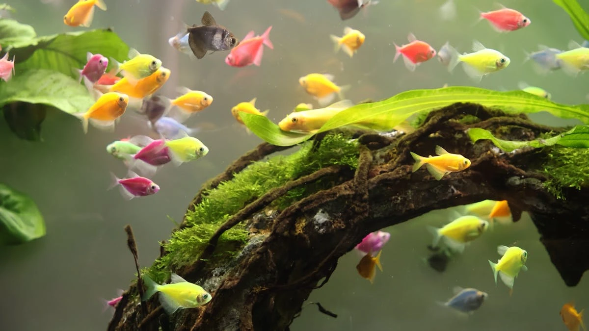 Ilustrasi banyak ikan glofish sedang ada di sekitar tanaman hijau