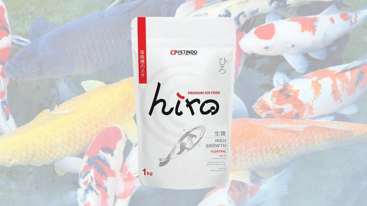 Ilustrasi pakan pelet ikan koi dewasa hiro floating premium