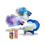 Paket Bundling Super Light