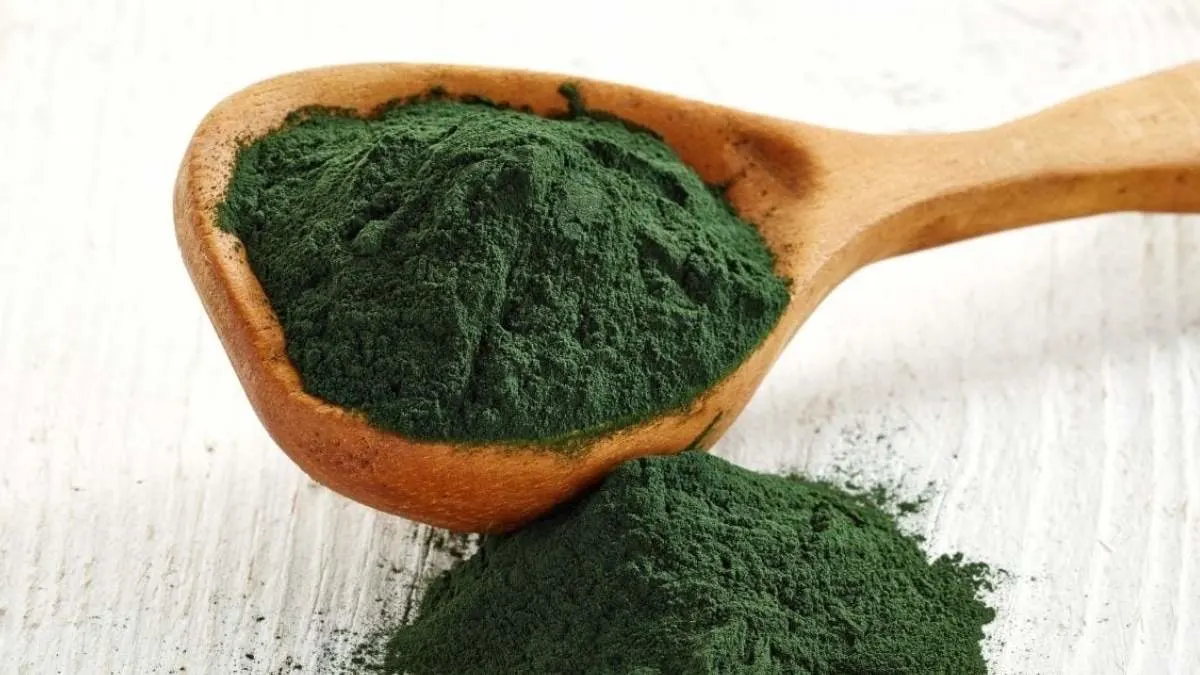 Gambar bubuk spirulina yang mengandung pigmen bagus untuk ikan channa
