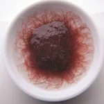 Ilustrasi gambar cacing sutra untuk pakan ikan channa yang masih kecil