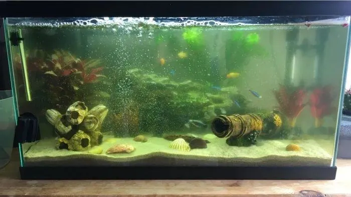 Gambar akuarium tampak terkena korosi air
