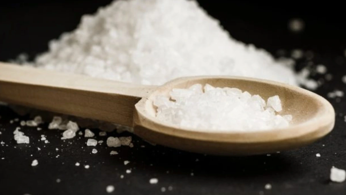 Ilustrasi garam ikan di sendok