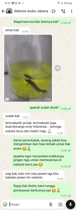 testimoni-pelanggan-molly-jaya-2 Gambar testimoni pelanggan setia Molly Jaya