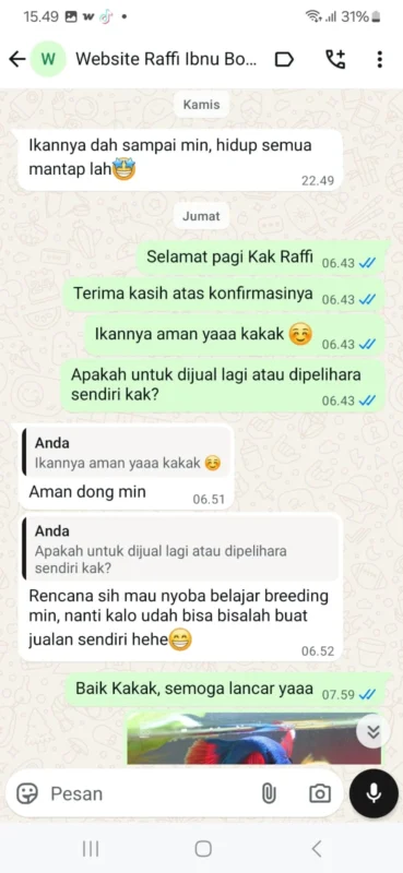 testimoni-pelanggan-molly-jaya-5 Gambar testimoni pelanggan molly jaya