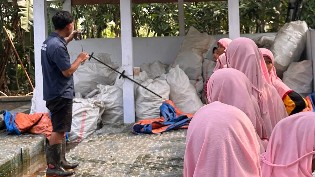 Foto siswa MI Miftahul Mubtadiin mendengarkan penjelasan tentang budidaya ikan cupang di molly jaya