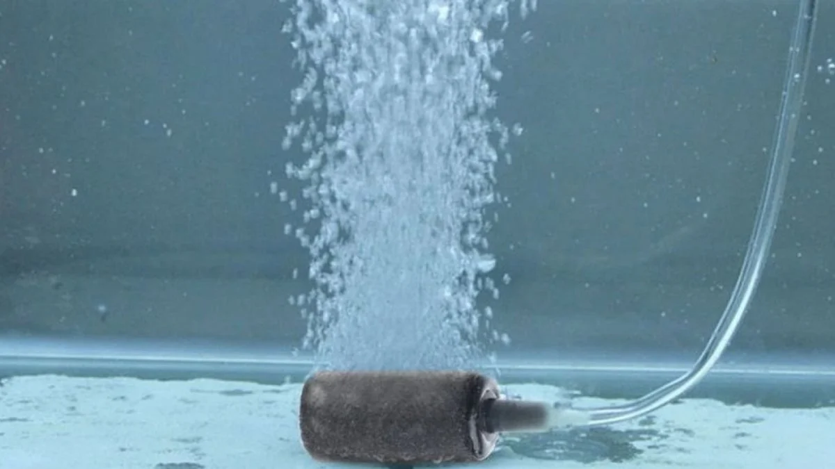 Gambar batu aerator nano di akuarium