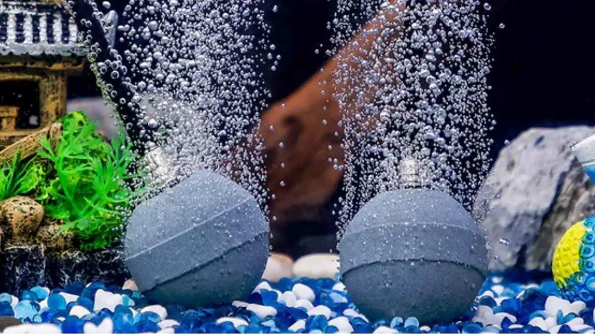 Gambar batu aerator di akuarium