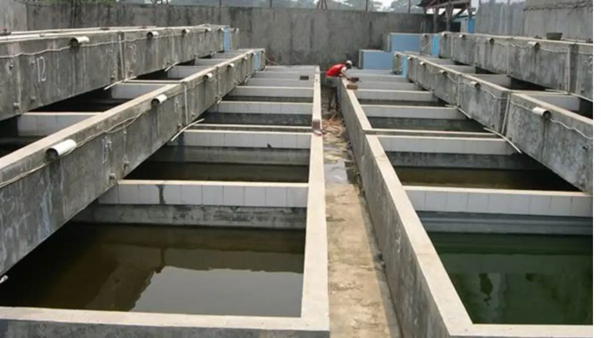 Gambar kolam semen yang bisa untuk ikan