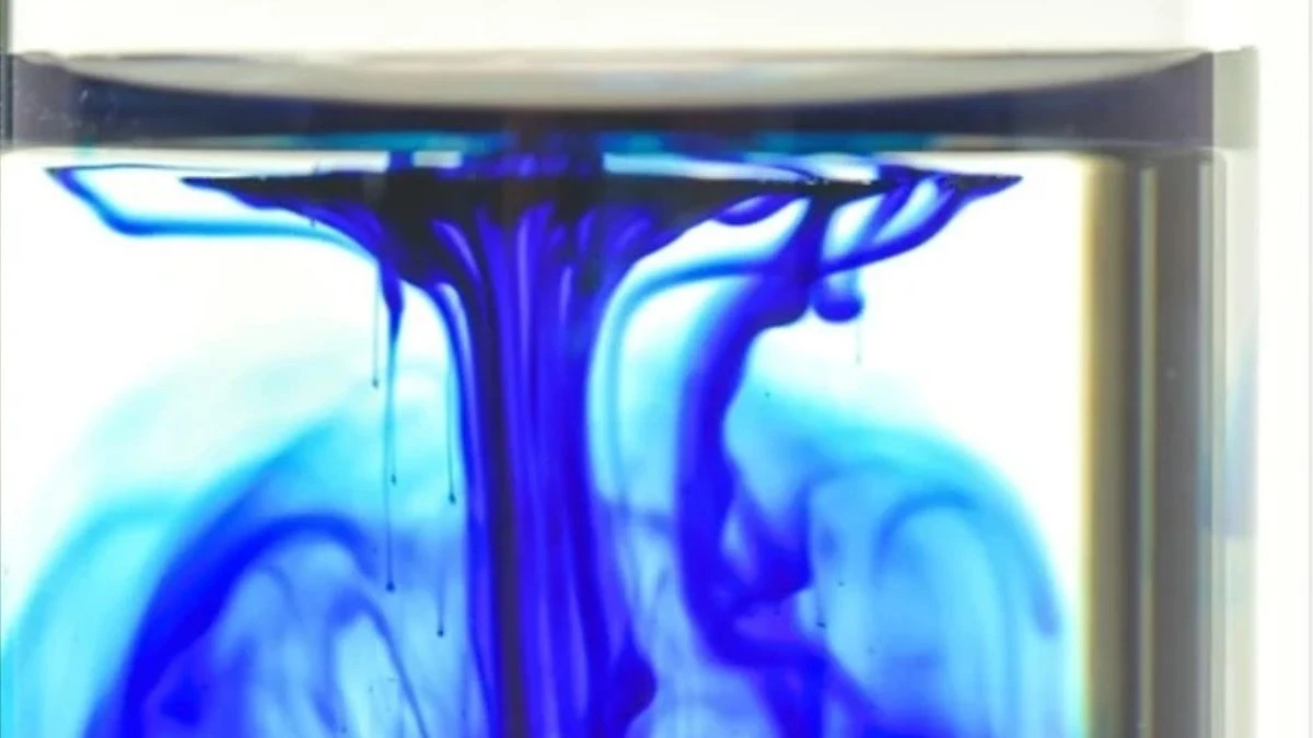 Gambar methylene blue ikan berada di air.