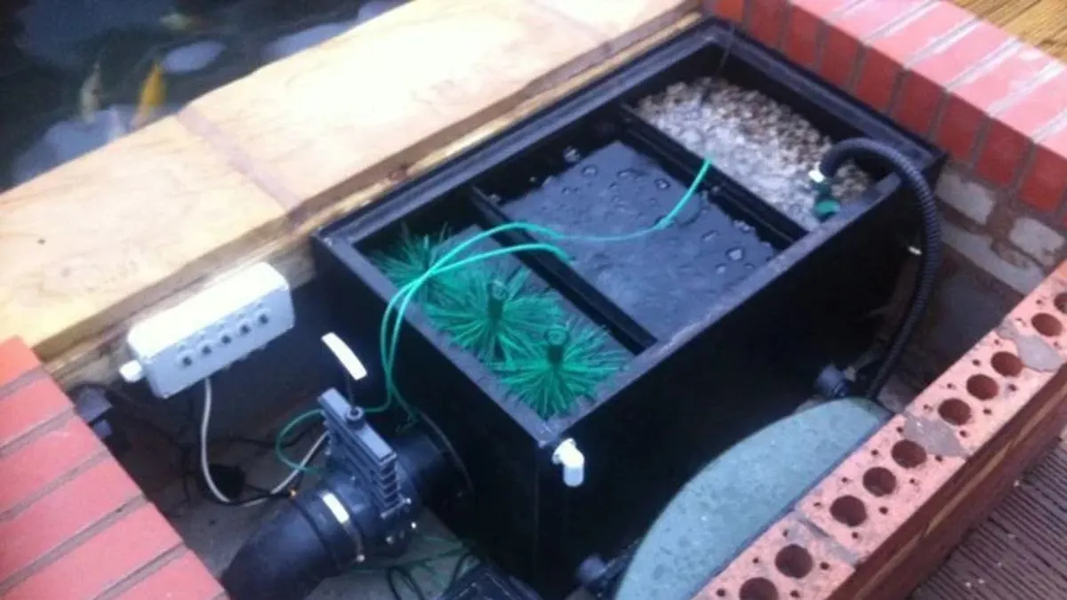 Gambar sistem filtrasi ikan koi