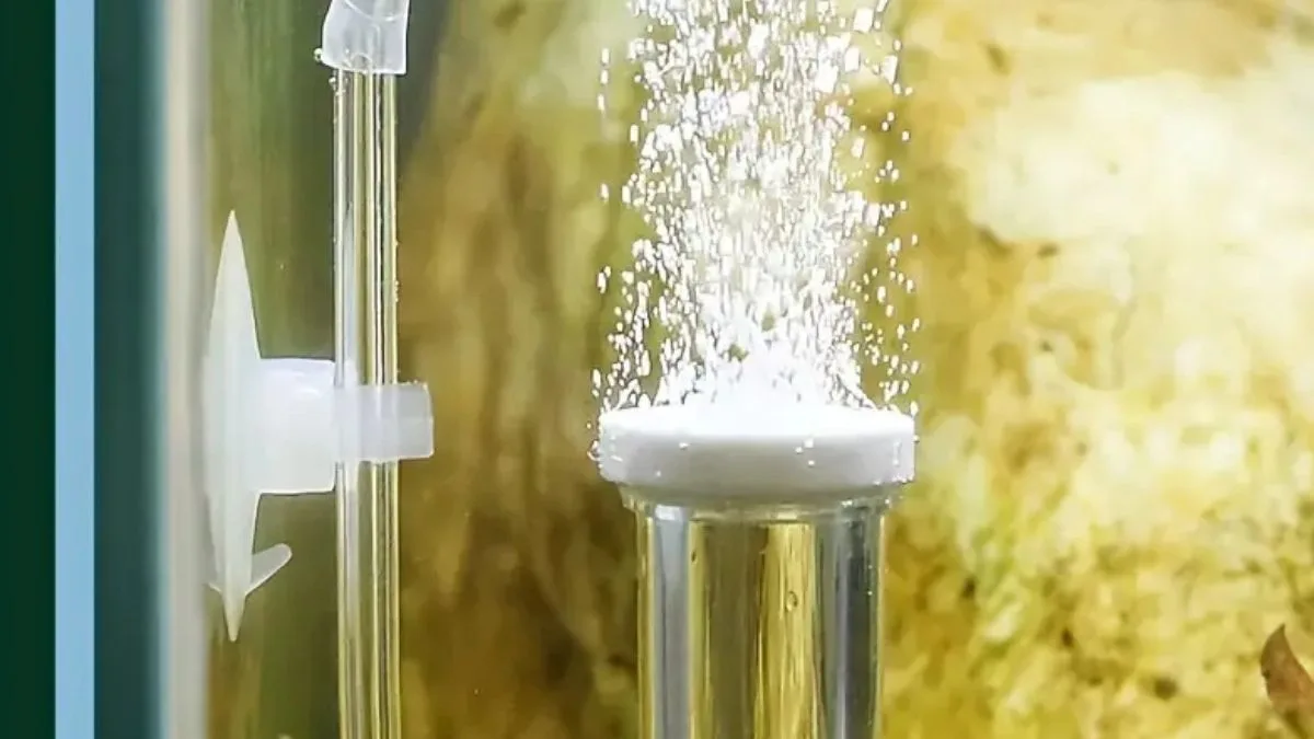 Gambar aerator di akuarium menyala