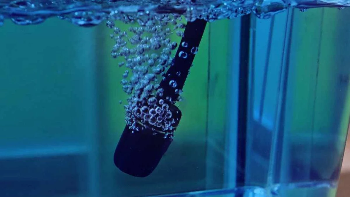 Gambar methylene blue ikan yang sudah dituang di akuarium