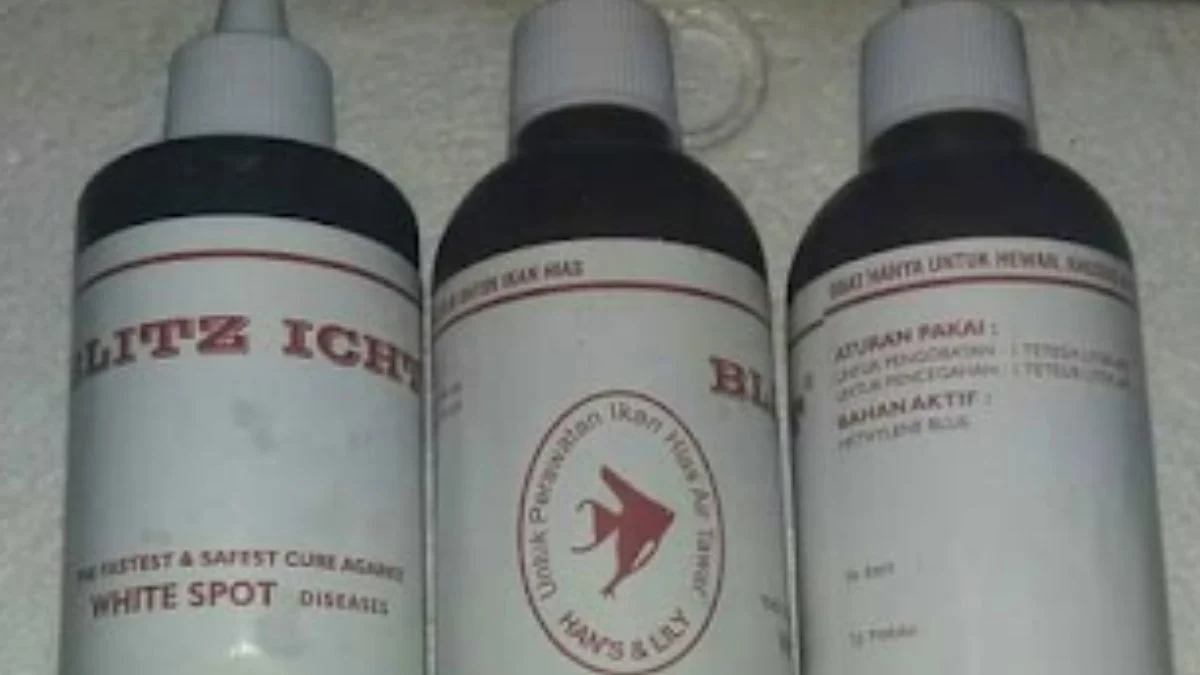 Gambar obat ikan hias blitz icht