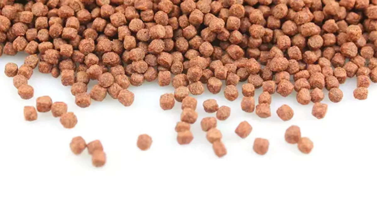 Gambar pelet ikan koki yang sesuai dengan artikel makanan ikan koki