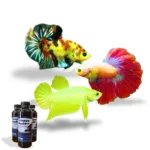 Paket Bundling Neon Series