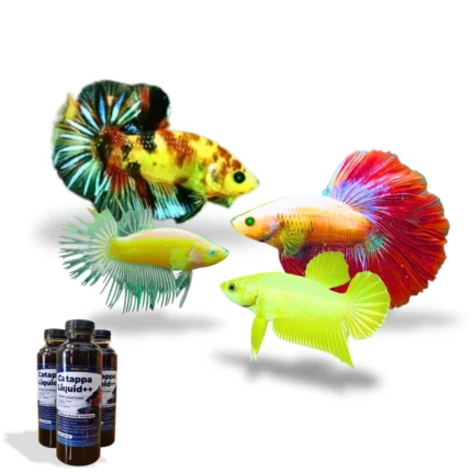 Paket Bundling Neon Series