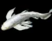 Gambar ikan koi slayer platinum