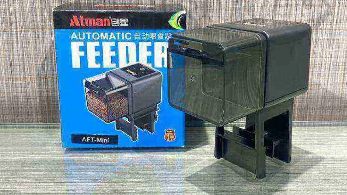 Gambar auto feeder ikan atau alat pakan otomatis