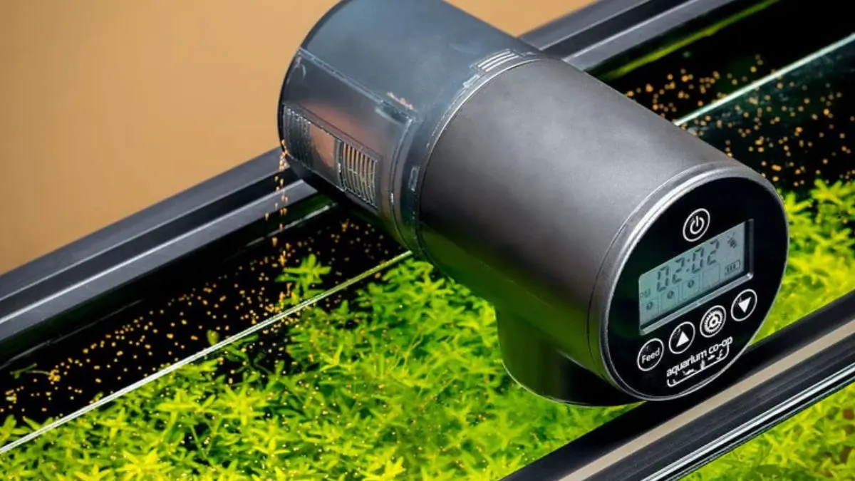 Gambar auto feeder ikan atau alat pakan otomatis