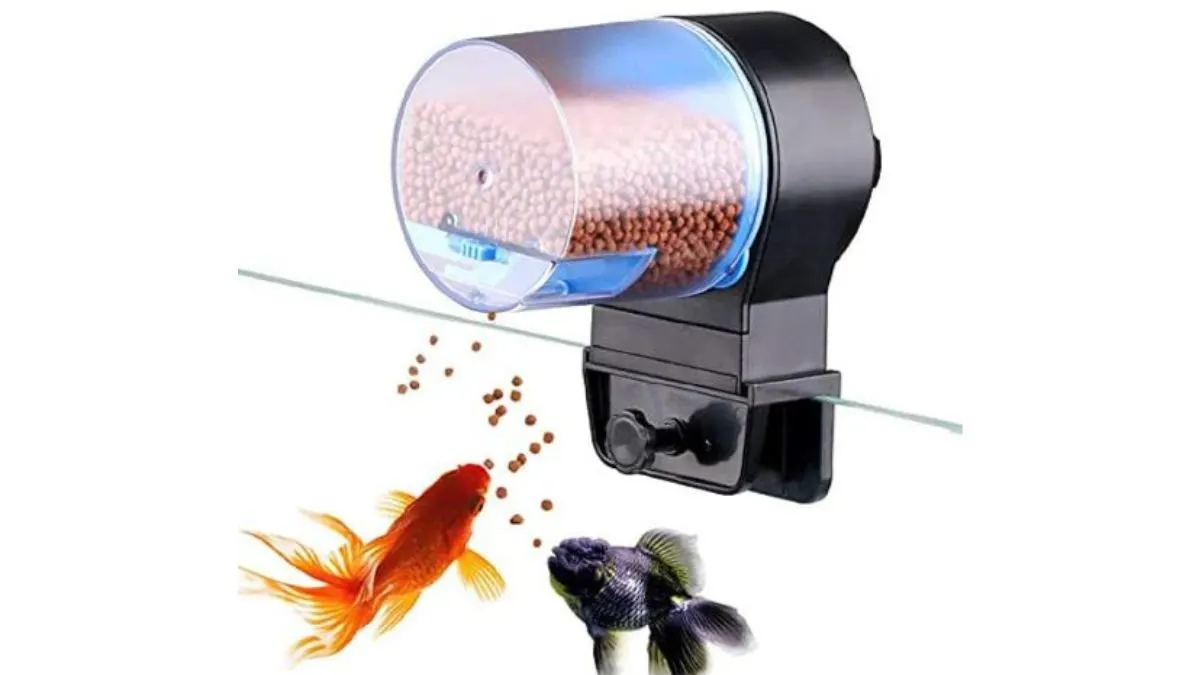 Gambar auto feeder ikan atau alat pakan otomatis