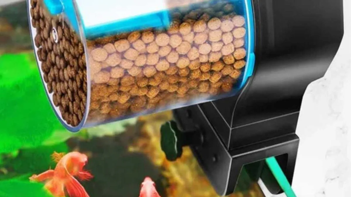 Gambar auto feeder ikan atau alat pakan otomatis