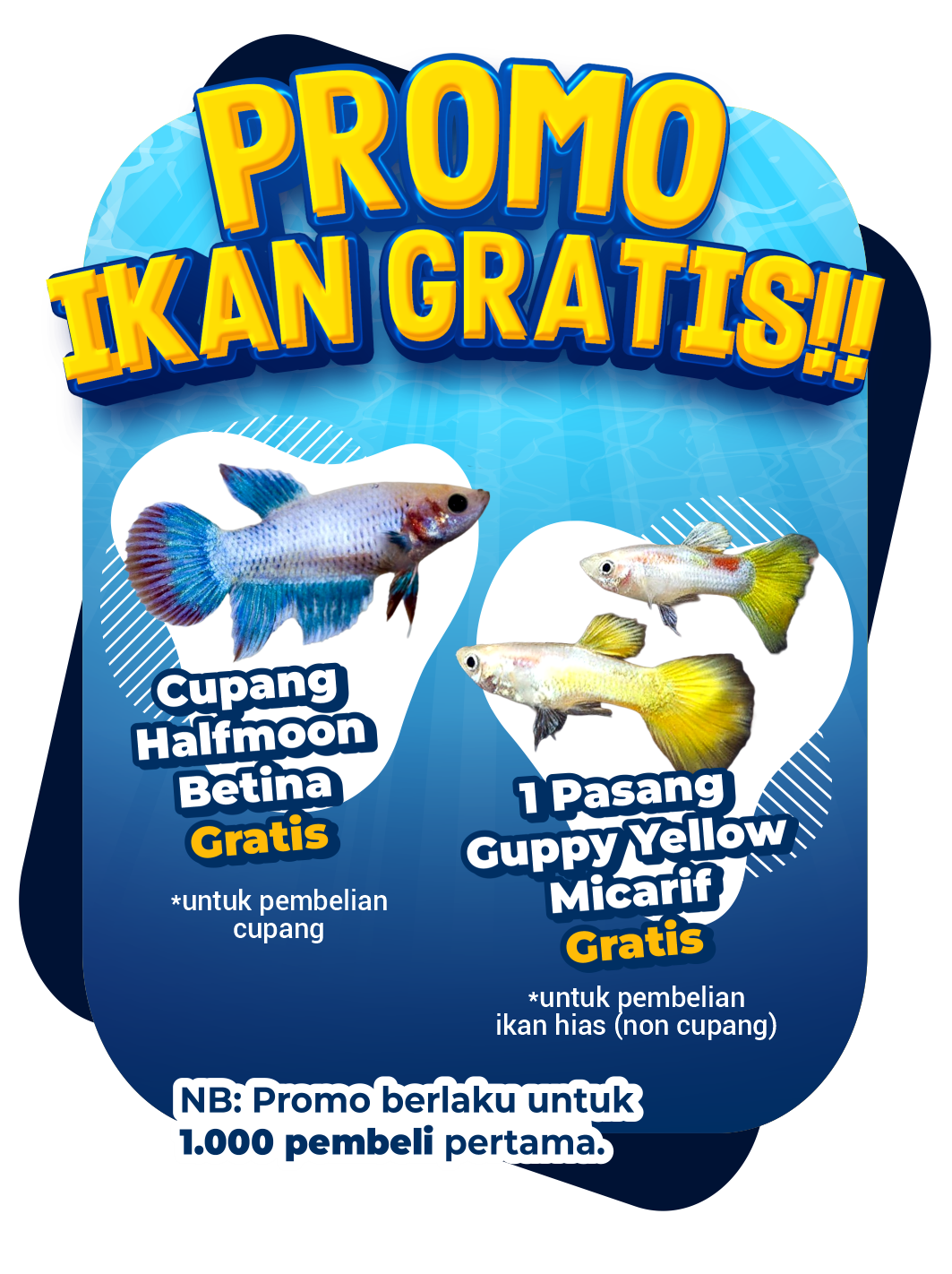 Promo IKAN GRATIS - pop up 2