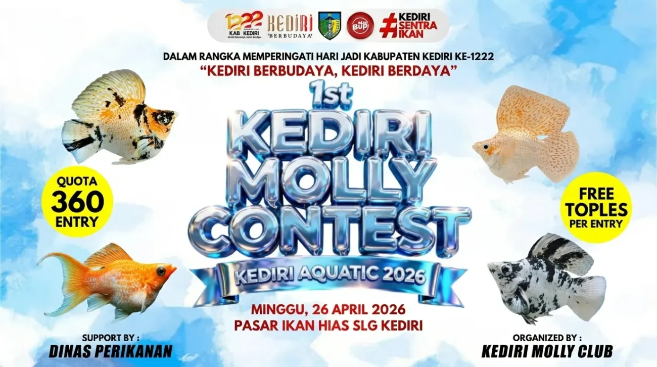 Banner kontes ikan molly