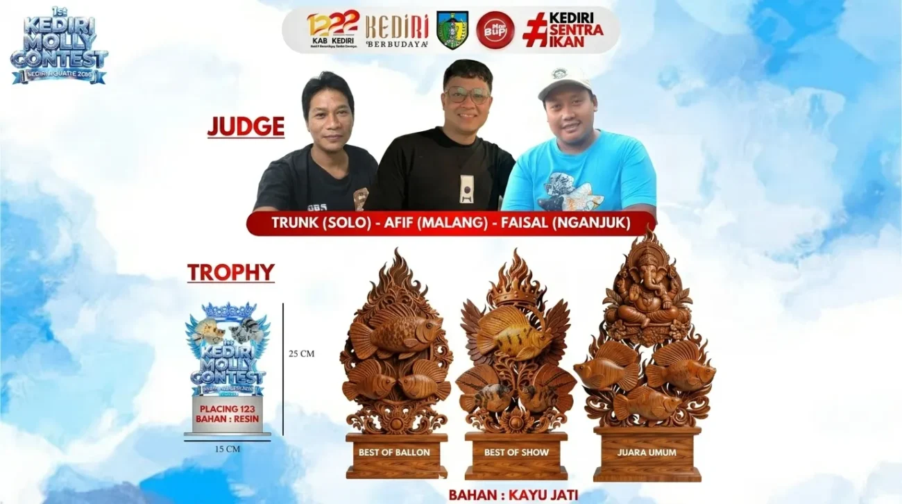 Banner kontes ikan molly