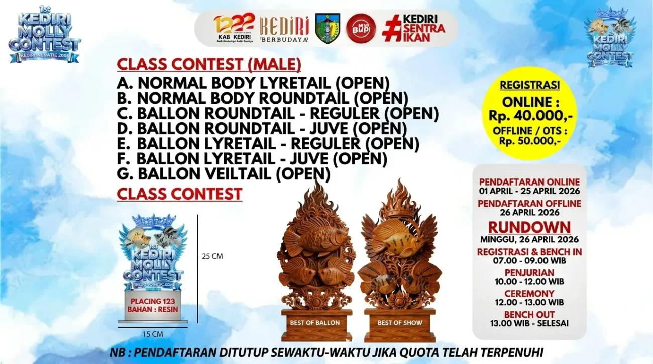 Banner kontes ikan molly