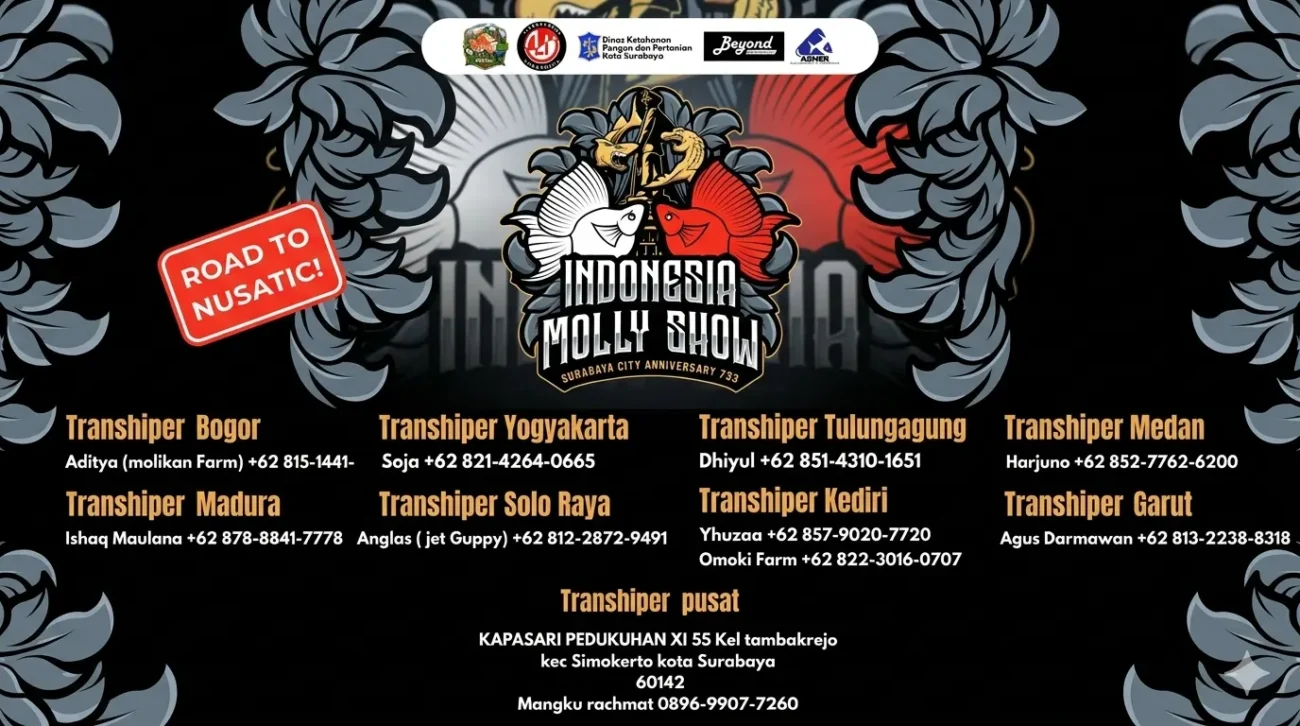 Gambar banner transhiper lomba ikan molly surabaya 2026 berbagai daerah